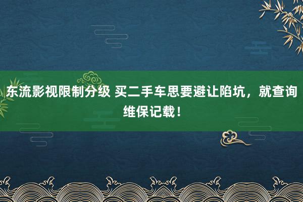 东流影视限制分级 买二手车思要避让陷坑，就查询维保记载！