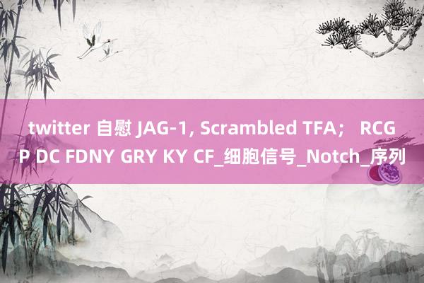 twitter 自慰 JAG-1， Scrambled TFA； RCGP DC FDNY GRY KY CF_细胞信号_Notch_序列