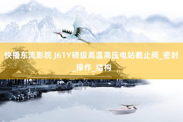 快播东流影院 J61Y磅级高温高压电站截止阀_密封_操作_结构