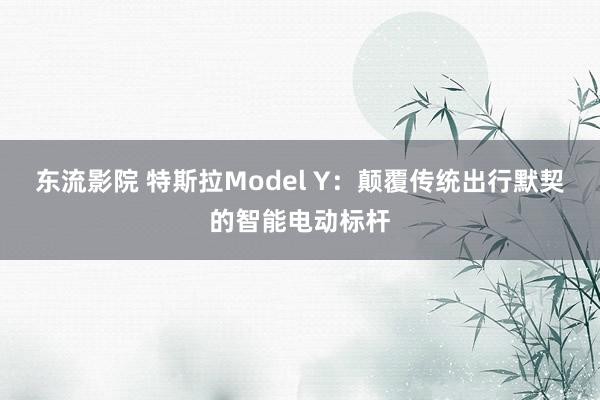 东流影院 特斯拉Model Y：颠覆传统出行默契的智能电动标杆