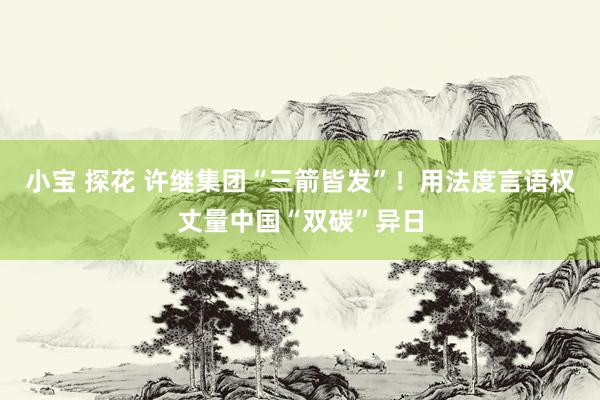 小宝 探花 许继集团“三箭皆发”！用法度言语权丈量中国“双碳”异日