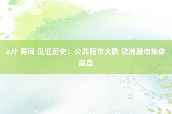 a片 男同 见证历史！公共股市大跌 欧洲股市集体崩盘