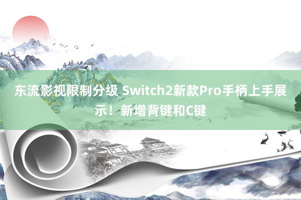 东流影视限制分级 Switch2新款Pro手柄上手展示！新增背键和C键