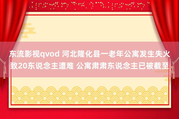 东流影视qvod 河北隆化县一老年公寓发生失火致20东说念主遭难 公寓肃肃东说念主已被截至