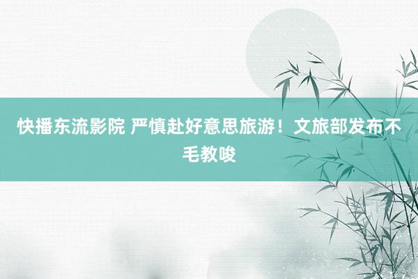 快播东流影院 严慎赴好意思旅游！文旅部发布不毛教唆