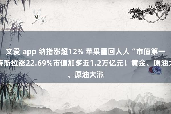 文爱 app 纳指涨超12% 苹果重回人人“市值第一” 特斯拉涨22.69%市值加多近1.2万亿元！黄金、原油大涨