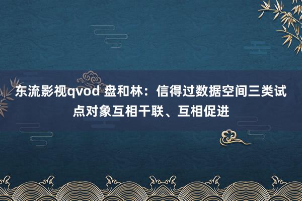 东流影视qvod 盘和林：信得过数据空间三类试点对象互相干联、互相促进