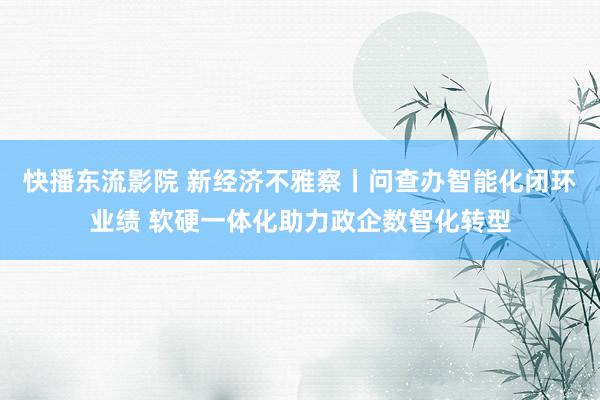 快播东流影院 新经济不雅察丨问查办智能化闭环业绩 软硬一体化助力政企数智化转型