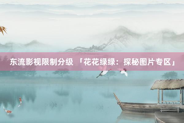 东流影视限制分级 「花花绿绿：探秘图片专区」