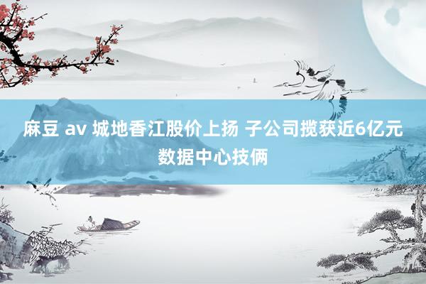 麻豆 av 城地香江股价上扬 子公司揽获近6亿元数据中心技俩