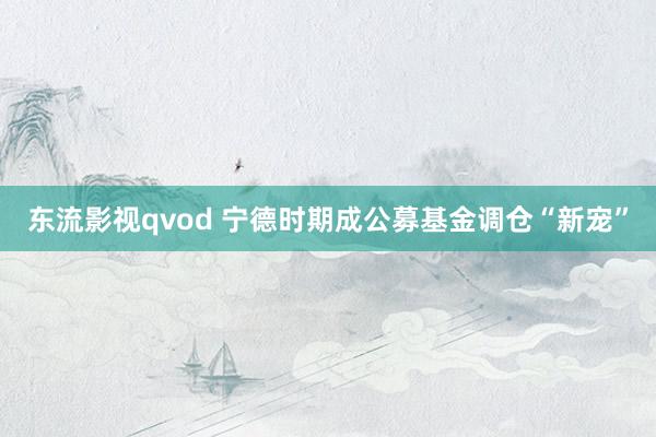 东流影视qvod 宁德时期成公募基金调仓“新宠”
