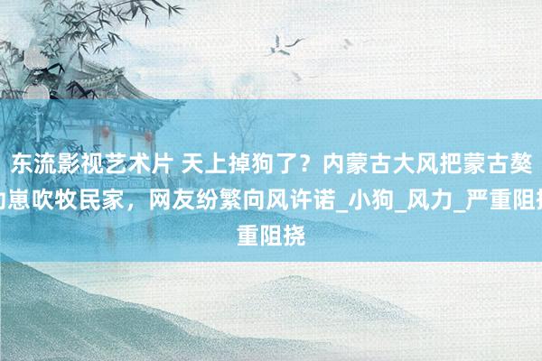 东流影视艺术片 天上掉狗了？内蒙古大风把蒙古獒幼崽吹牧民家，网友纷繁向风许诺_小狗_风力_严重阻挠