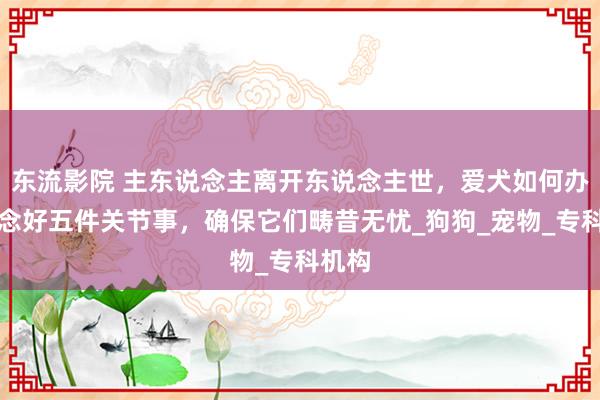 东流影院 主东说念主离开东说念主世，爱犬如何办？作念好五件关节事，确保它们畴昔无忧_狗狗_宠物_专科机构