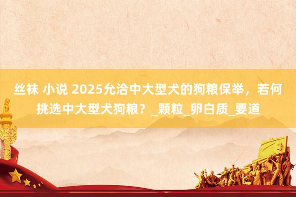 丝袜 小说 2025允洽中大型犬的狗粮保举，若何挑选中大型犬狗粮？_颗粒_卵白质_要道