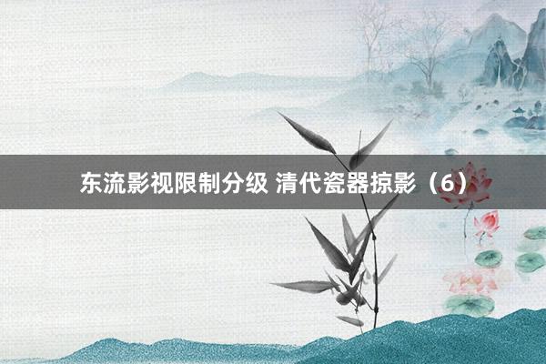 东流影视限制分级 清代瓷器掠影（6）