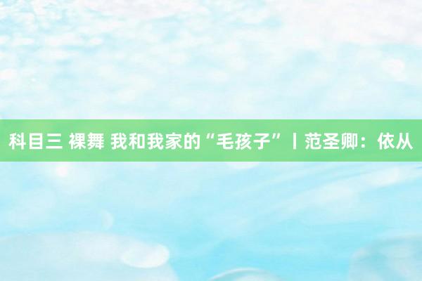 科目三 裸舞 我和我家的“毛孩子”丨范圣卿：依从