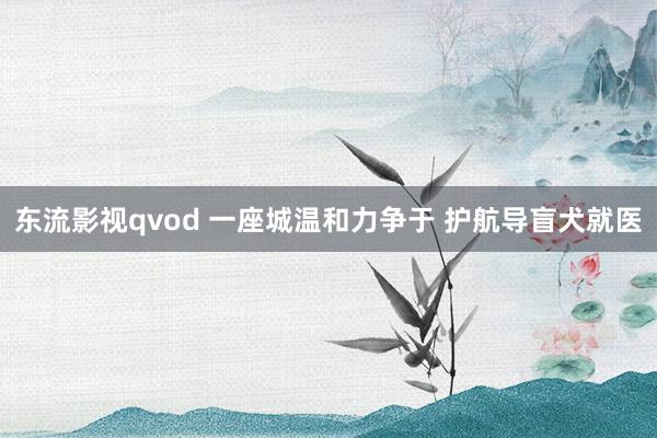 东流影视qvod 一座城温和力争于 护航导盲犬就医