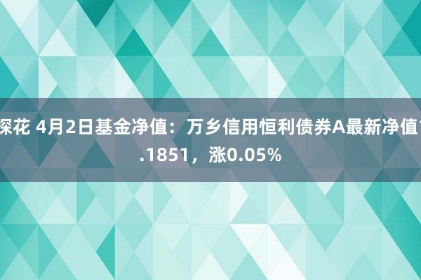 探花 4月2日基金净值：万乡信用恒利债券A最新净值1.1851，涨0.05%