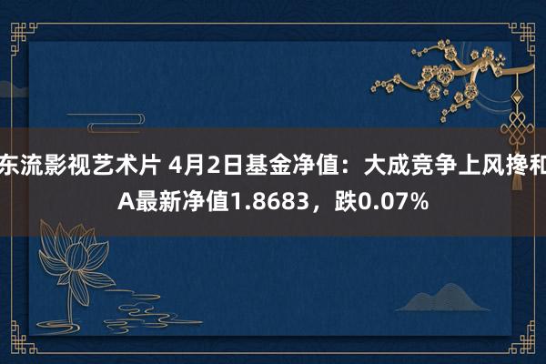 东流影视艺术片 4月2日基金净值：大成竞争上风搀和A最新净值1.8683，跌0.07%