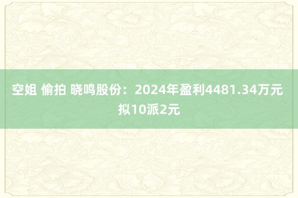 空姐 偷拍 晓鸣股份：2024年盈利4481.34万元 拟10派2元