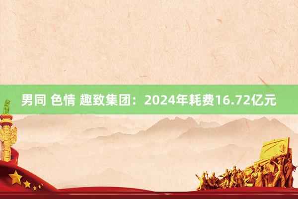 男同 色情 趣致集团：2024年耗费16.72亿元
