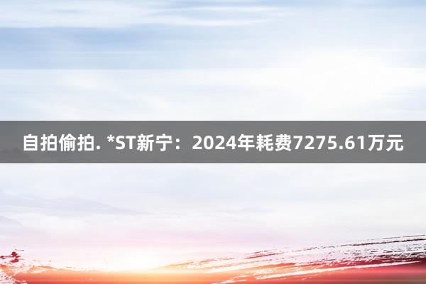 自拍偷拍. *ST新宁：2024年耗费7275.61万元