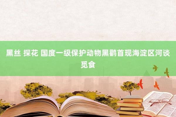 黑丝 探花 国度一级保护动物黑鹳首现海淀区河谈觅食