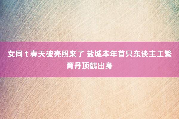 女同 t 春天破壳照来了 盐城本年首只东谈主工繁育丹顶鹤出身