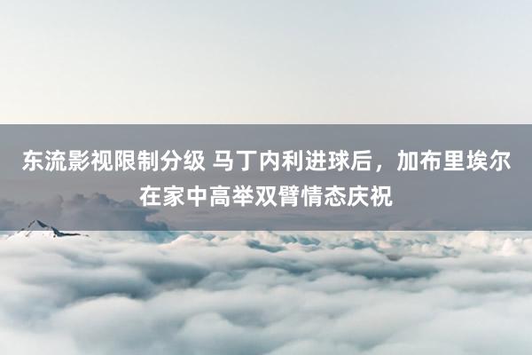 东流影视限制分级 马丁内利进球后，加布里埃尔在家中高举双臂情态庆祝