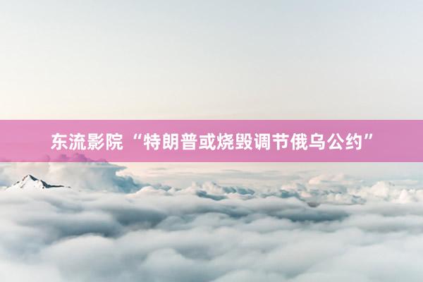 东流影院 “特朗普或烧毁调节俄乌公约”
