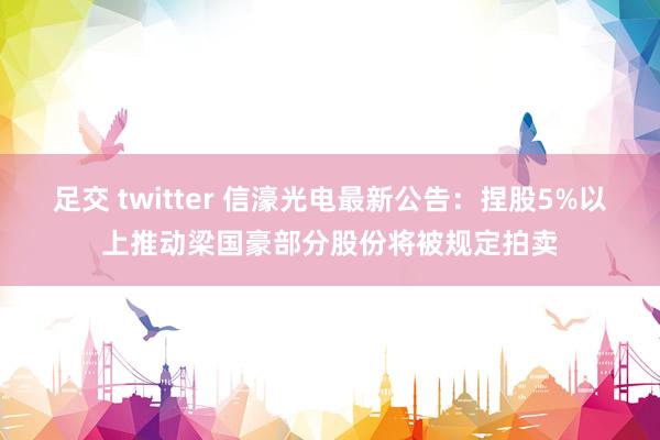 足交 twitter 信濠光电最新公告：捏股5%以上推动梁国豪部分股份将被规定拍卖