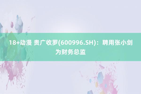 18+动漫 贵广收罗(600996.SH)：聘用张小剑为财务总监