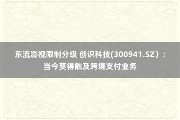 东流影视限制分级 创识科技(300941.SZ）：当今莫得触及跨境支付业务