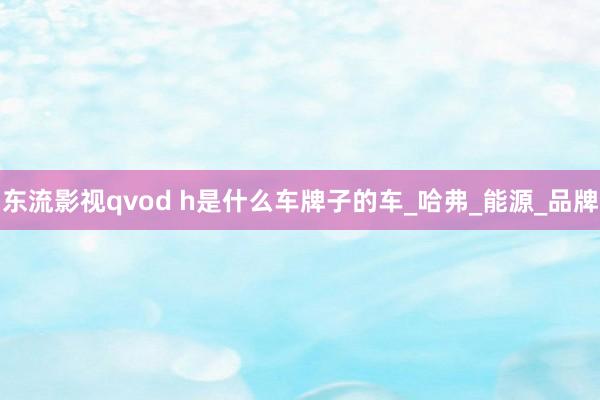东流影视qvod h是什么车牌子的车_哈弗_能源_品牌