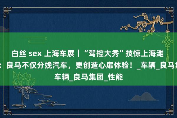 白丝 sex 上海车展｜“驾控大秀”技惊上海滩 CEO高翔：良马不仅分娩汽车，更创造心扉体验！_车辆_良马集团_性能