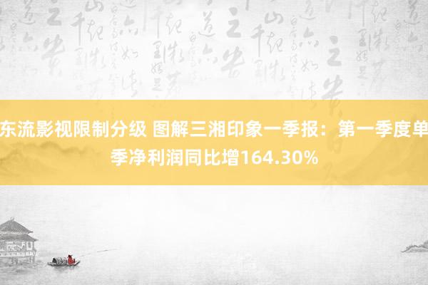 东流影视限制分级 图解三湘印象一季报：第一季度单季净利润同比增164.30%