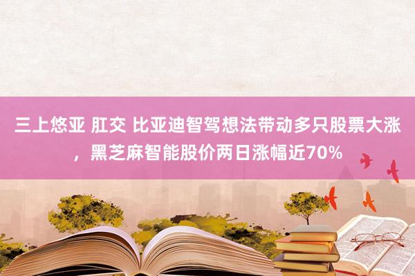 三上悠亚 肛交 比亚迪智驾想法带动多只股票大涨，黑芝麻智能股价两日涨幅近70%