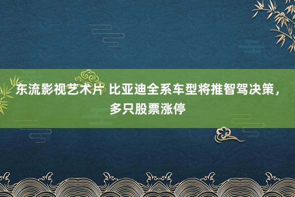 东流影视艺术片 比亚迪全系车型将推智驾决策，多只股票涨停