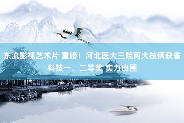 东流影视艺术片 重磅！河北医大三院两大技俩获省科技一、二等奖 实力出圈