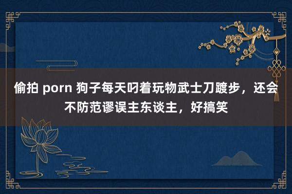 偷拍 porn 狗子每天叼着玩物武士刀踱步，还会不防范谬误主东谈主，好搞笑